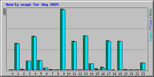 Hourly usage for May 2025