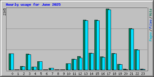 Hourly usage for June 2025