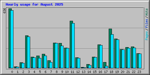 Hourly usage for August 2025
