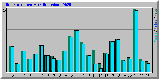 Hourly usage for December 2025