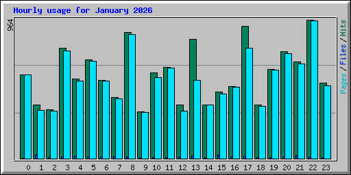 Hourly usage for January 2026