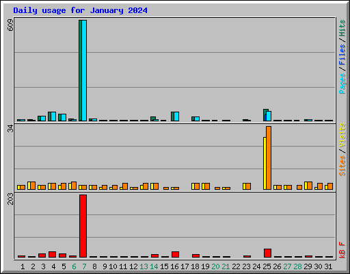 Daily usage for January 2024