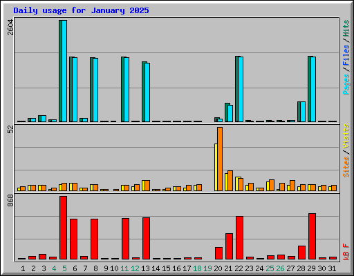 Daily usage for January 2025