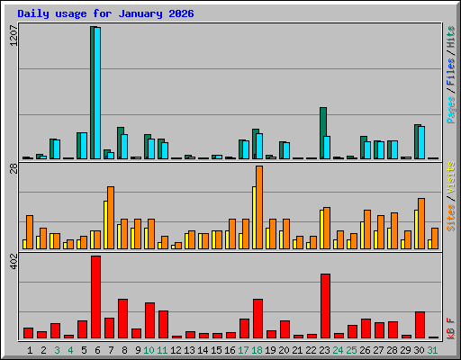 Daily usage for January 2026