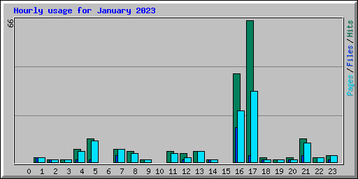 Hourly usage for January 2023