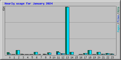 Hourly usage for January 2024