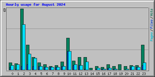 Hourly usage for August 2024