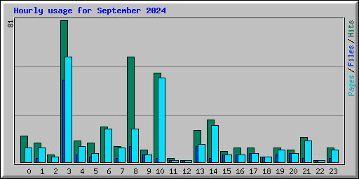 Hourly usage for September 2024