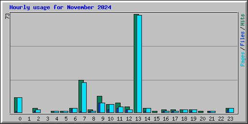 Hourly usage for November 2024