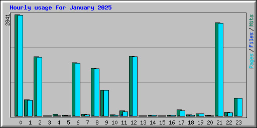 Hourly usage for January 2025