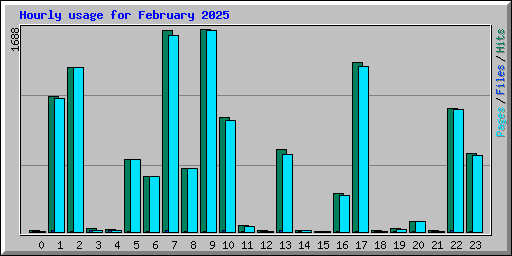 Hourly usage for February 2025