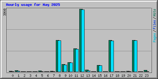 Hourly usage for May 2025