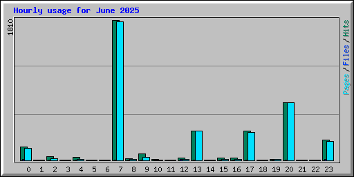 Hourly usage for June 2025