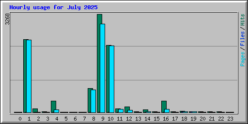 Hourly usage for July 2025