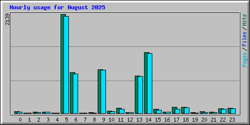 Hourly usage for August 2025
