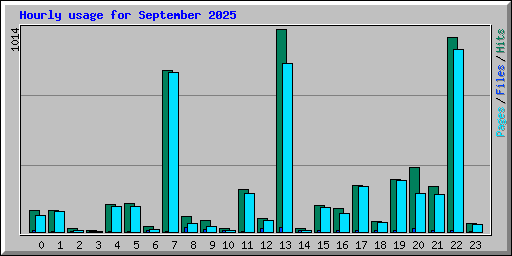 Hourly usage for September 2025