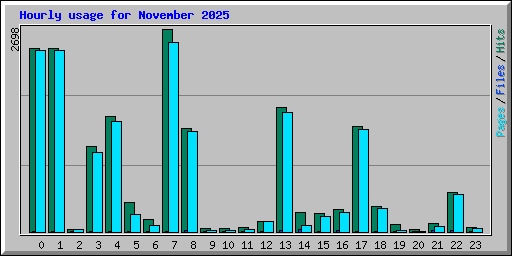 Hourly usage for November 2025
