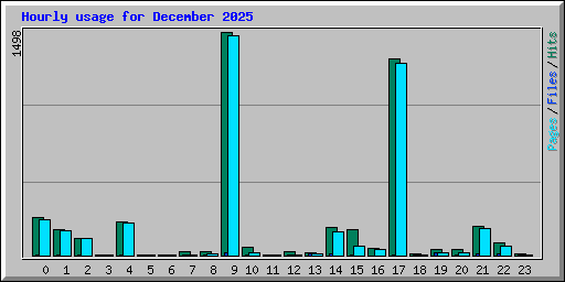 Hourly usage for December 2025