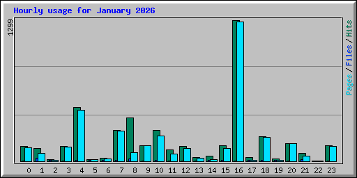 Hourly usage for January 2026