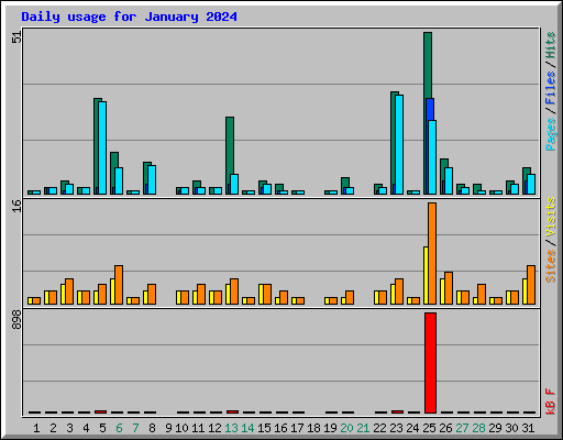 Daily usage for January 2024