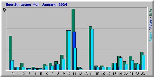 Hourly usage for January 2024