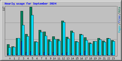 Hourly usage for September 2024