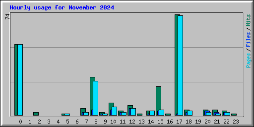 Hourly usage for November 2024