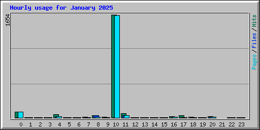 Hourly usage for January 2025