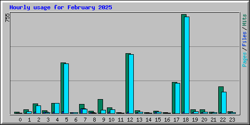 Hourly usage for February 2025