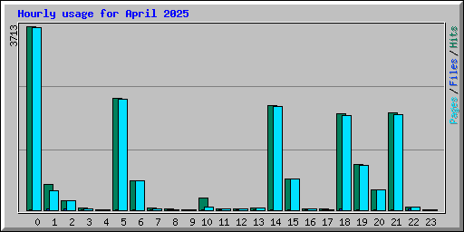 Hourly usage for April 2025