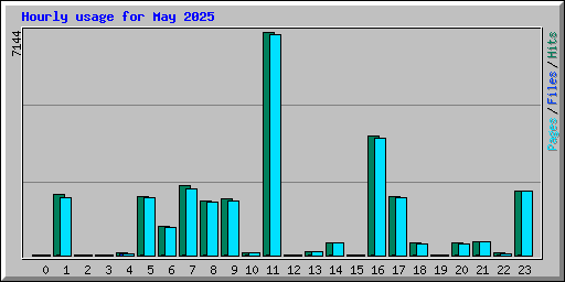 Hourly usage for May 2025
