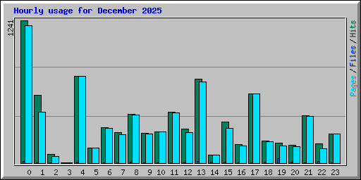 Hourly usage for December 2025
