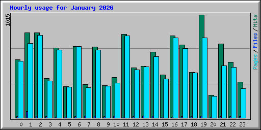 Hourly usage for January 2026
