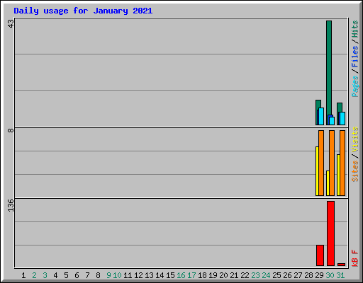 Daily usage for January 2021