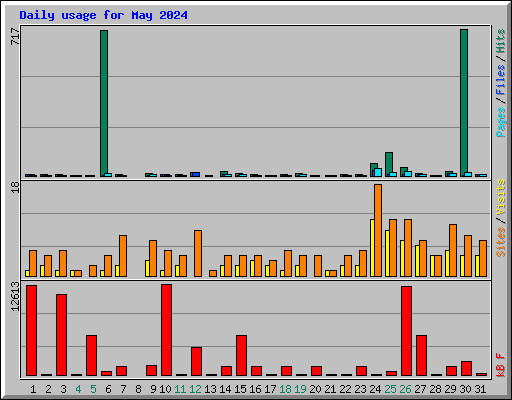 Daily usage for May 2024