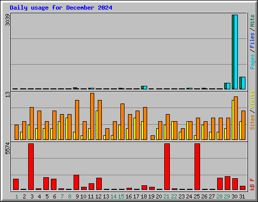 Daily usage for December 2024