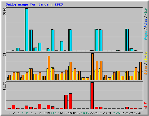 Daily usage for January 2025