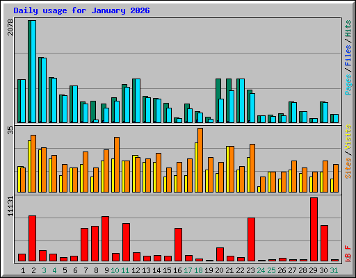 Daily usage for January 2026