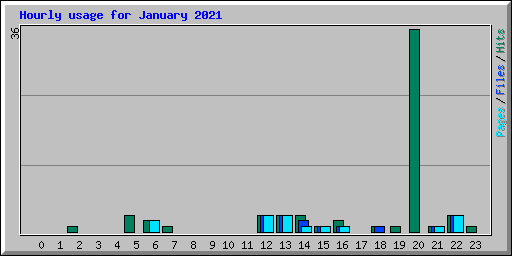 Hourly usage for January 2021