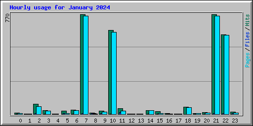 Hourly usage for January 2024