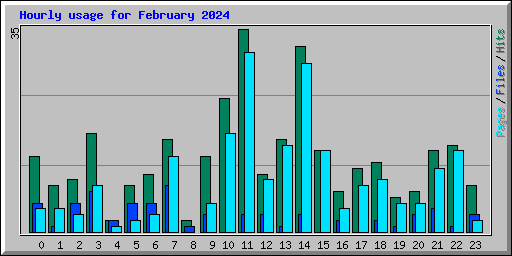 Hourly usage for February 2024