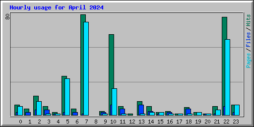 Hourly usage for April 2024