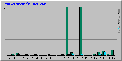 Hourly usage for May 2024