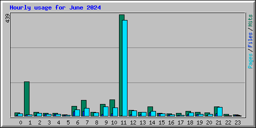 Hourly usage for June 2024