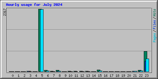 Hourly usage for July 2024