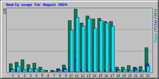 Hourly usage for August 2024