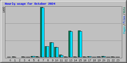 Hourly usage for October 2024