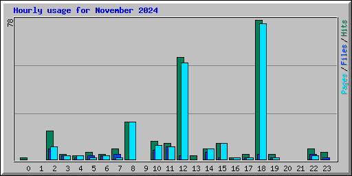 Hourly usage for November 2024