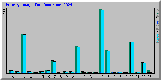 Hourly usage for December 2024