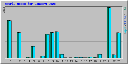 Hourly usage for January 2025